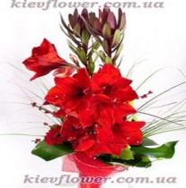 Bouquet 